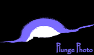 Plunge Photo logo
